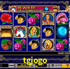 tgjogo Rio de Janeiro - Bonus Terms